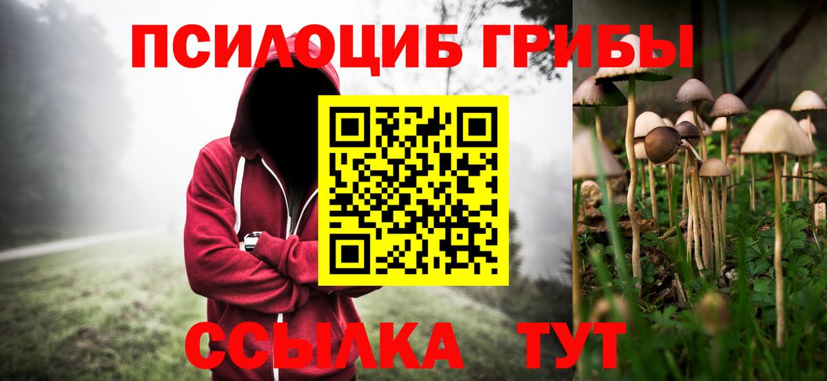Псилоцибиновые грибы прущие грибы Мыски