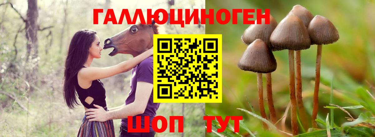Мыски  наркотики  Вход с VPN  Псилоцибиновые грибы MAGIC MUSHROOMS 